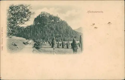 Ansichtskarte Sankt Georgen am Längsee Hochosterosterwitz, Weg 1909