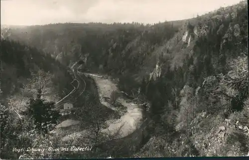 Neumühle (Elster) Elstertal Blick Fluss Partie Elster Vogtl. Schweiz DDR  1961