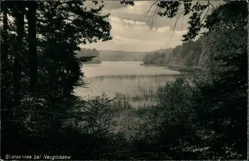 Neuglobsow-Stechlin Umland-Ansicht Partie am Glietzensee Postkarte DDR 1961