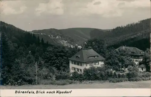 Bärenfels (Erzgebirge)-Altenberg (Erzgebirge) Panorama-Ansicht  /1965