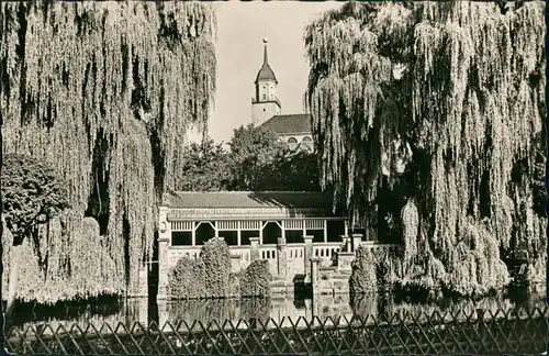 Bischofswerda Mühlteich Partie Blick zur Kirche DDR Postkarte 1858/1959