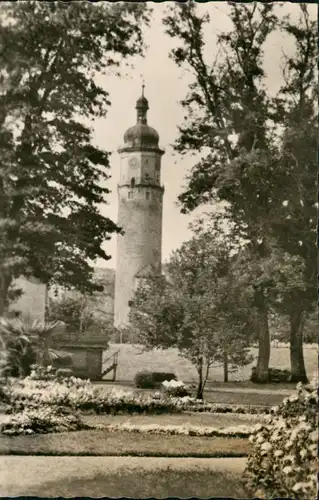 Arnstadt Stadtpark, Park, Partie am Neideckturm DDR Postkarte 1957