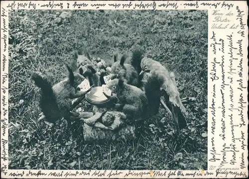 Waldtiere beim Skat Tiere als Menschen (Künstlerkarten) Andromorphische   1935