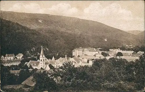 Trentschin-Teplitz Trenčianske Teplice Trencsénteplic Vintage Postcard 1920