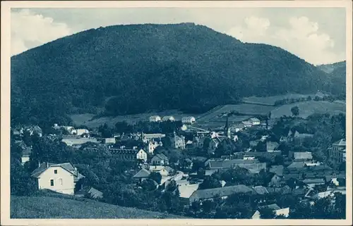 Postcard Teplitz-Schönau Teplice Panorama Aussicht v. V. Viola 1920