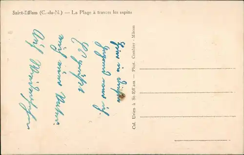 CPA Saint Efflam-Pédernec La Plage a travers les sapins 1922