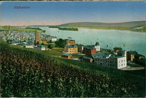 Ansichtskarte Rüdesheim (Rhein) Stadtpartie 1913