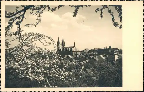 Postcard Eger Cheb Baumblüte - Blick auf die Stadt 1939