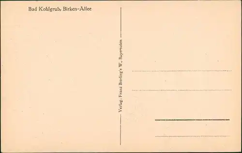 Ansichtskarte Bad Kohlgrub Birken-Allee 1928