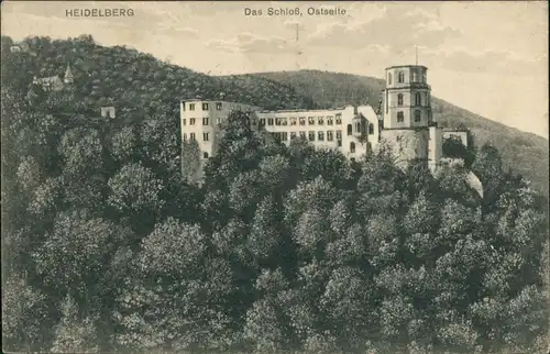 Heidelberg Heidelberger Schloss Ostseite Gesamtansicht Castle Postcard 1925