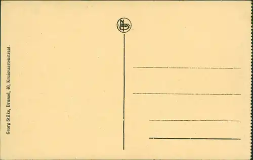 Postkaart Löwen Louvain De Statiesstraat 1915