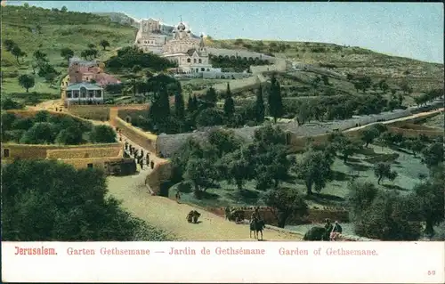 Postcard Jerusalem Jeruschalajim (רושלים) Garten Gethsemane 1911