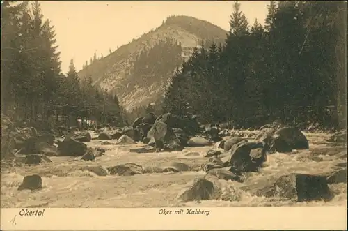 Ansichtskarte Oker-Goslar Okertal Okertal (Fluss) Kahberg Stromschnellen 1910