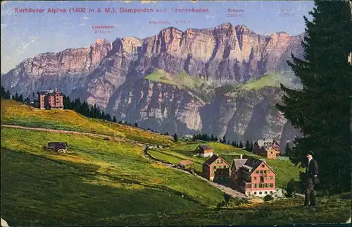 Flums Kurhäuser Alpina Region Flums mit Gamperdon, Tannenboden 1910