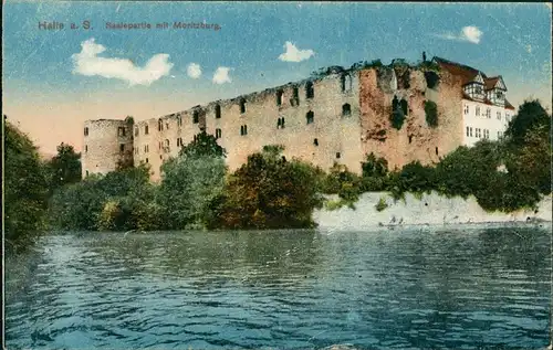Ansichtskarte Halle (Saale) Saale Fluss Partie mit Moritzburg 1910