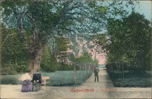 Postcard Harkány Parkpartie Harkanyfürdö 1911