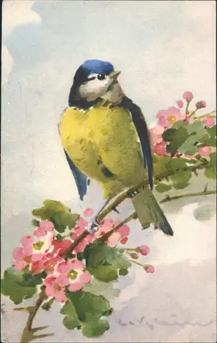 Ansichtskarte  Vogel auf Zweig mit Blüten Künstlerkarte 1912