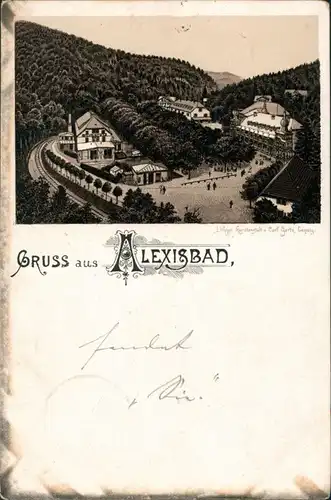 Ansichtskarte Litho AK Alexisbad-Harzgerode Stadtpartie Gruss aus 1893