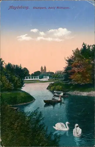 Ansichtskarte Werder-Magdeburg Adolf-Mittag-See, Dom 1916