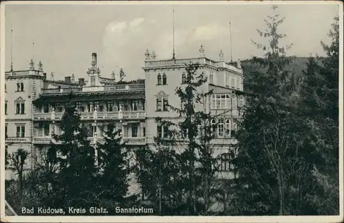 Postcard Bad Kudowa Kudowa-Zdrój Partie am Sanatorium 1932