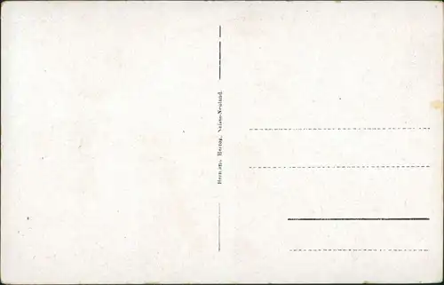 Postcard Bad Kudowa Kudowa-Zdrój Partie am Sanatorium 1932