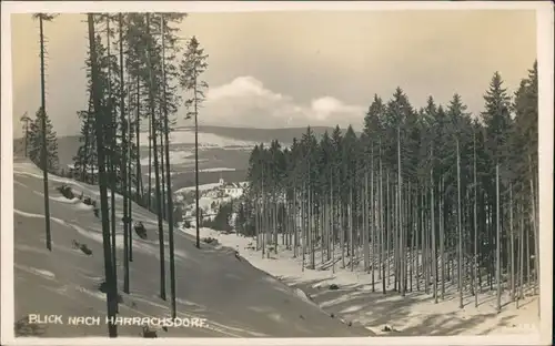 Foto Harrachsdorf Harrachov Winterpartie 1931 Privatfoto