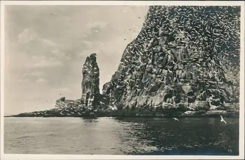Foto Norwegen Allgemein Fuglebjerg Vogelberg Norge 1928 Privatfoto