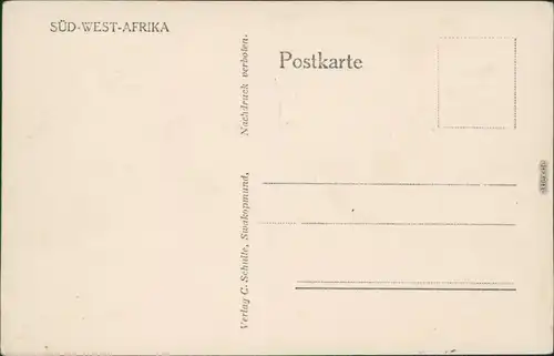 Ansichtskarte Südwest-Afrika Namibia Seehundgruppe 1970