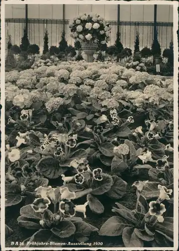 Ansichtskarte Zürich Ausstellung Frühjahrsblumen 1930