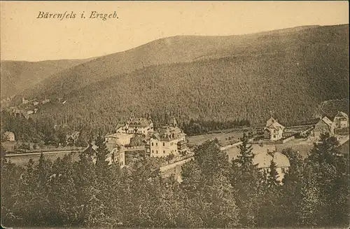 Bärenfels (Erzgebirge)-Altenberg (Erzgebirge) Panorama Blick auf Villen 1910