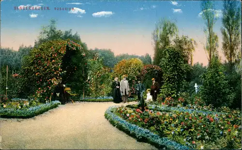 Ansichtskarte Sangerhausen Rosarium Personen Park Heliocolorkarte Zieher 1910