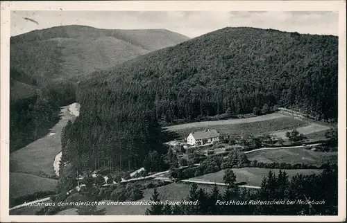 Ansichtskarte Medebach Forsthaus Kaltenscheid 1938