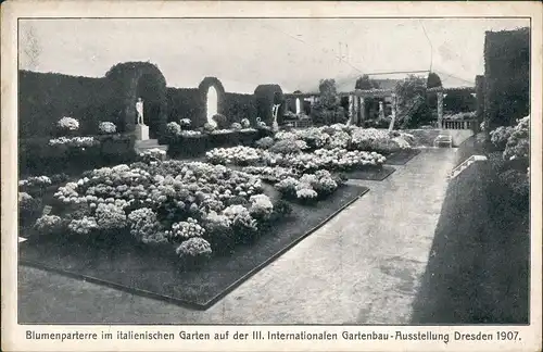 Ansichtskarte Dresden Gartenbau-Ausstellung Blumenparterre III 1907