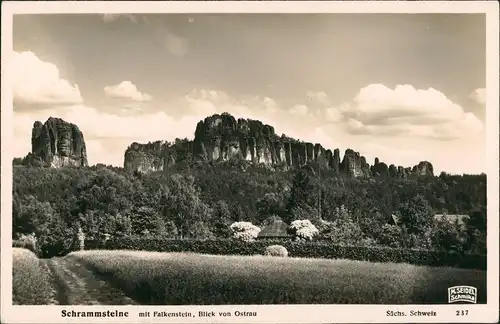 Ansichtskarte Bad Schandau Schrammsteine mit Falkenstein 1930