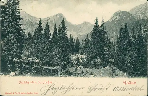 Hieflau-Landl (Bezirk Liezen)  Ansicht Hartelsgraben Hieflau Gesäuse 1907