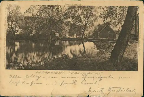 Georgenthal (Thüringen) Partie am Mühlteich, Teich, kleines Wohnhaus 1905