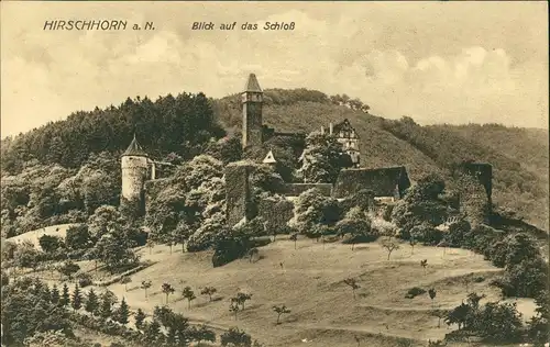 Ansichtskarte Hirschhorn (Neckar) Blick auf das Schloss (Castle Germany) 1921