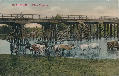 Postcard Slowjansk Слов'янськ Славянс Brücke Kühe 1913
