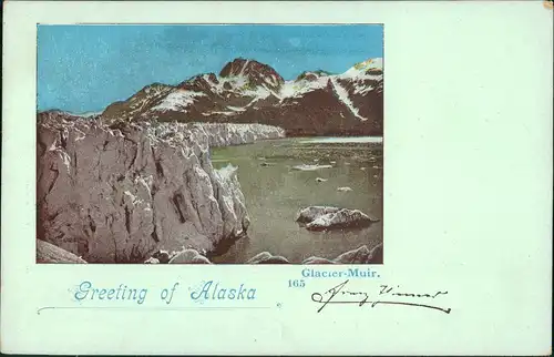 Postcard Alaska Alaska USA Glacier Muir 1906