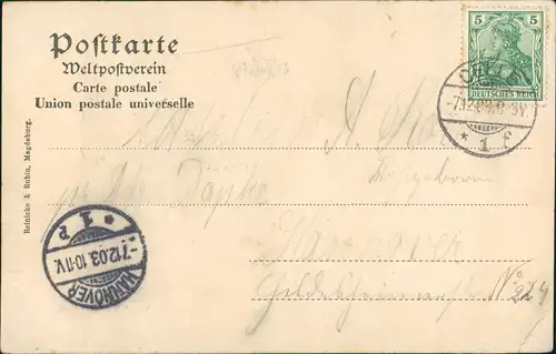 Ansichtskarte Celle Französischer Garten, Schwäne 1908