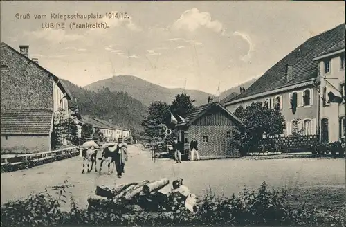 Lubine (Vogesen) Loubingen (Vosges) Straßenparttie Vogesen Vosges 1913