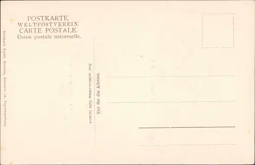 Äußere Neustadt-Dresden 2 Bild einst und Jetzt Japanisches Palais 1913