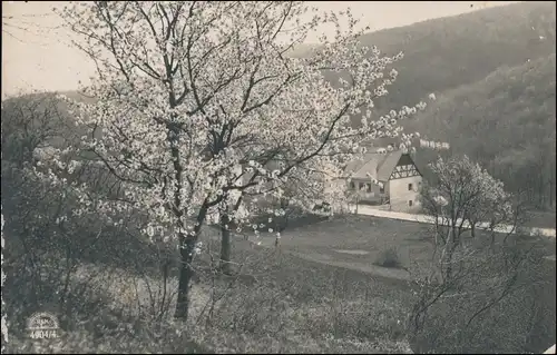 Ansichtskarte  Stimmungsbild Frühling Dorf Haus (Ort unbekannt) 1921