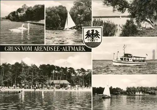 Arendsee (Altmark) Schwäne, Segelboote, Uferbereich, Fähre, Strand 1970