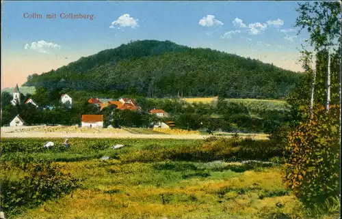 Ansichtskarte Collm-Wermsdorf Panorama-Ansicht auf Dorf u. Collmberg 1910