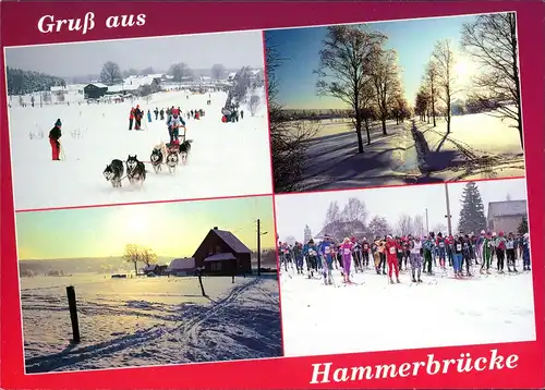 Hammerbrücke-Muldenhammer Schlittenhunderennen Berglandlauf Skilanglauf 1995