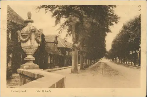 Ansichtskarte Ludwigslust Schloßstraße 1918