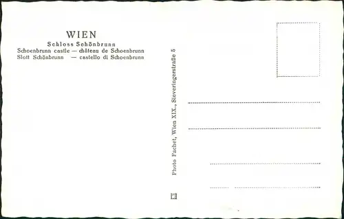 Ansichtskarte Hietzing-Wien Schloss Schönbrunn Besucher Gruppenfoto 1950