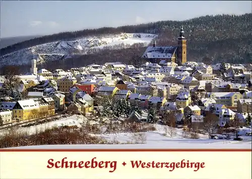 Ansichtskarte Schneeberg (Erzgebirge) Panorama Blick vom Mühlberg 2010