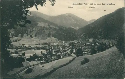 Immenstadt (Allgäu) Panorama-Ansicht Blick vom Kalvarienberg 1917